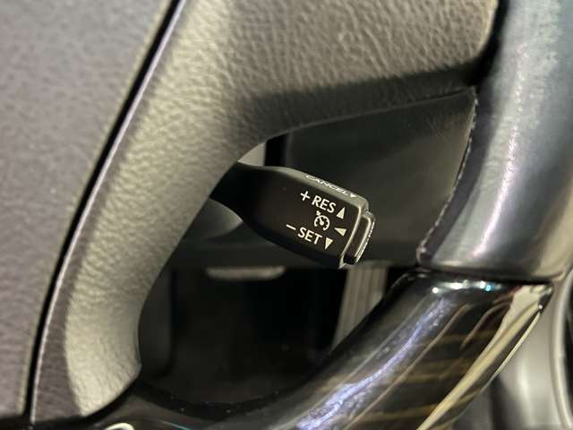 レクサス ＬＳ４６０ バージョンＣ H25年 (関東) 99