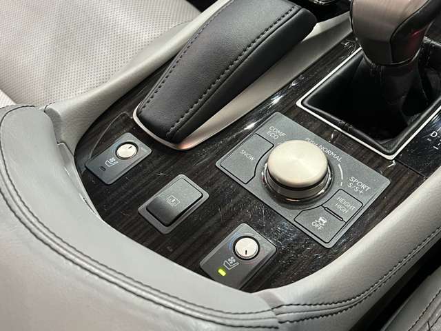 レクサス ＬＳ４６０ バージョンＣ H25年 (関東) 99