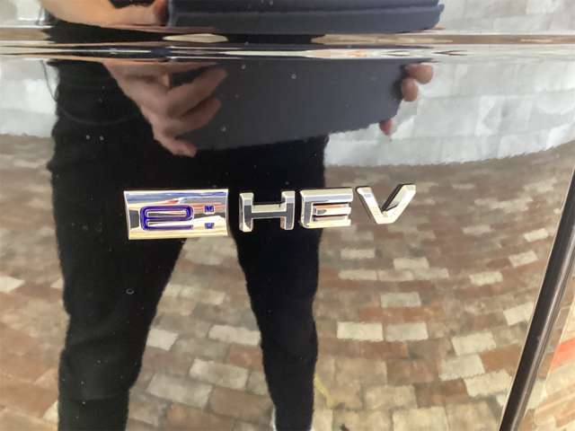 ホンダ フリード　ハイブリッド １．５ Ｅ：ＨＥＶ エアー ＥＸ R7年 (近畿) 99