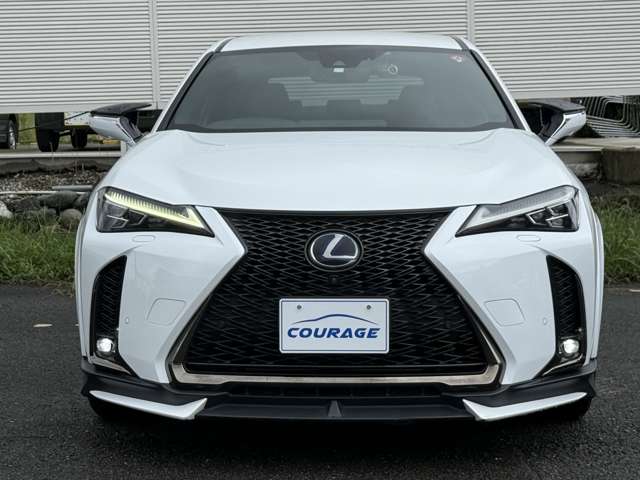 レクサス ＵＸ２５０ｈ Ｆスポーツ R1年 () 99