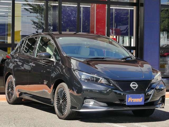 日産 リーフ ｅ＋　Ｇ R6年 (東海) 99