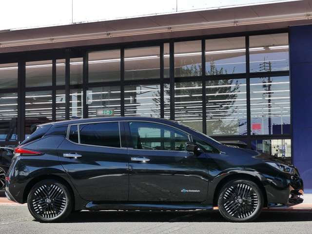 日産 リーフ ｅ＋　Ｇ R6年 (東海) 99