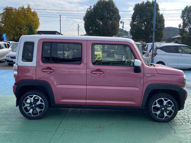 スズキ ハスラー ６６０ ハイブリッド Ｘ ４ＷＤ R2年 (九州・沖縄) 99