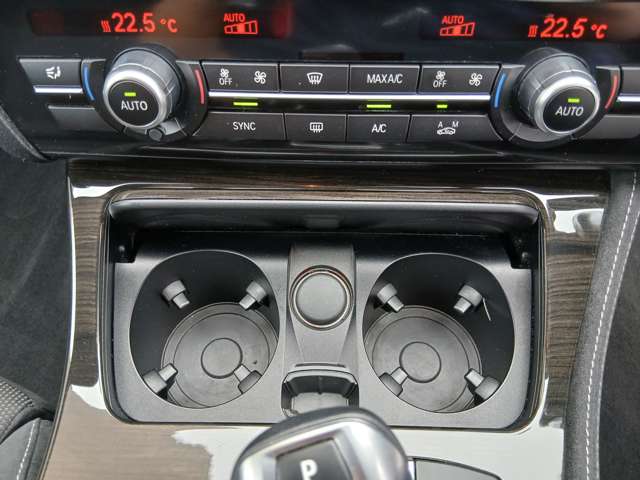 ＢＭＷ ５シリーズ ５２３ｉ　Ｍスポーツ H29年 (近畿) 99