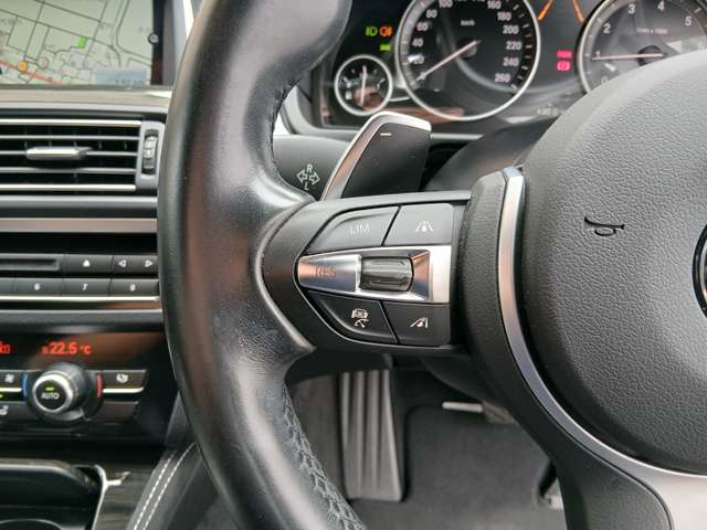 ＢＭＷ ５シリーズ ５２３ｉ　Ｍスポーツ H29年 (近畿) 99