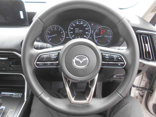 マツダ ＣＸ−６０ ２．５ ２５Ｓ Ｓパッケージ R8年 (関東) 99