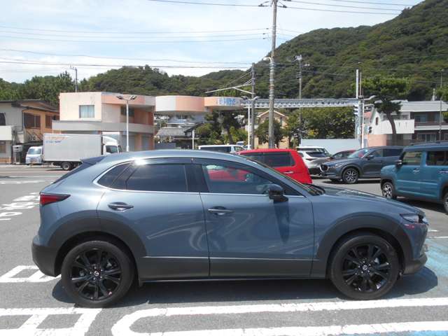 マツダ ＣＸ−３０ ２．０ ２０Ｓ ブラックトーンエディション R6年 (関東) 99
