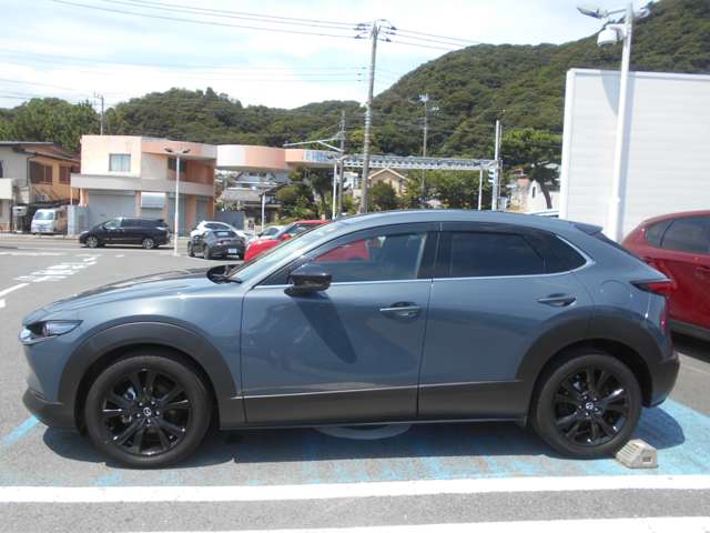 マツダ ＣＸ−３０ ２．０ ２０Ｓ ブラックトーンエディション R6年 (関東) 99
