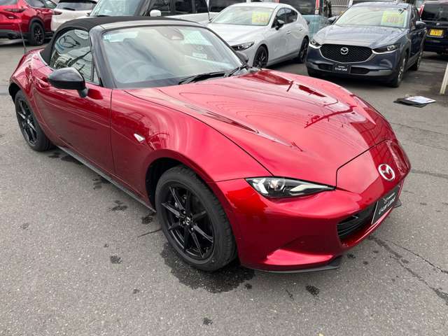 マツダ ロードスター １．５ Ｓ スペシャルパッケージ R7年 (関東) 99