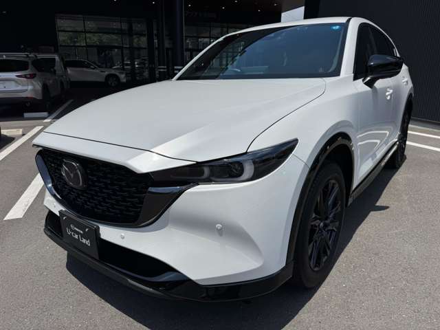 マツダ ＣＸ−５ ２．０ ２０Ｓ レトロスポーツエディション R6年 (関東) 99