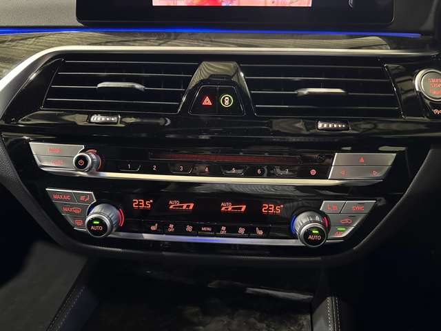 ＢＭＷ ５シリーズ ５３０Ｉ Ｍスポーツ R1年 (関東) 99