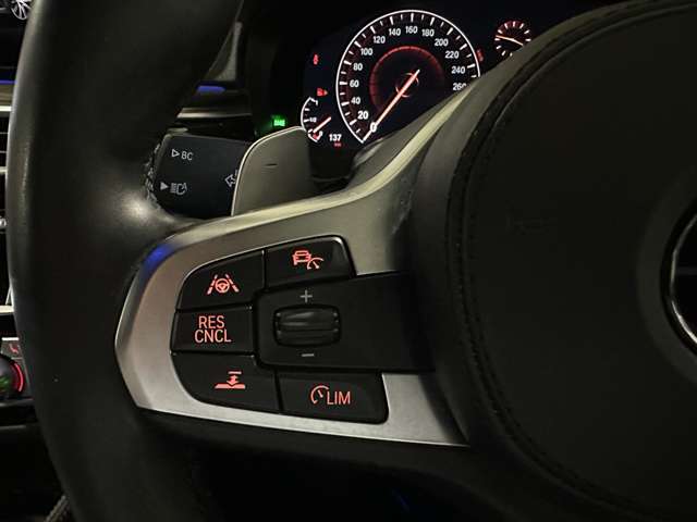 ＢＭＷ ５シリーズ ５３０Ｉ Ｍスポーツ R1年 (関東) 99