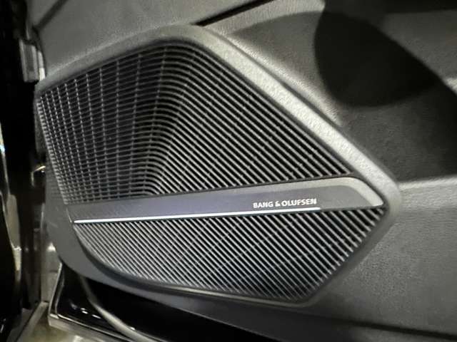 アウディ ＳＱ５ ３．０ ４ＷＤ H30年 (関東) 99
