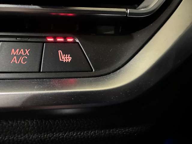ＢＭＷ ４シリーズ ４２０Ｉ Ｍスポーツ R3年 (関東) 99
