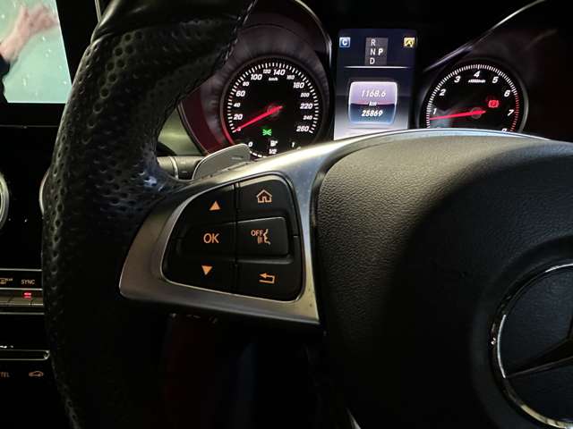 メルセデスベンツ ＧＬＣクラス ２５０ ４マチック スポーツ （本革仕様） ４ＷＤ H28年 (関東) 99