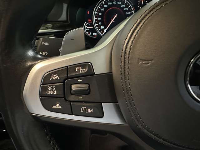 ＢＭＷ ５シリーズ ５２３Ｄ Ｍスポーツ ディーゼルターボ H29年 (関東) 99