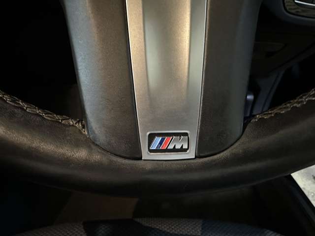 ＢＭＷ ５シリーズ ５２３Ｄ Ｍスポーツ ディーゼルターボ H29年 (関東) 99
