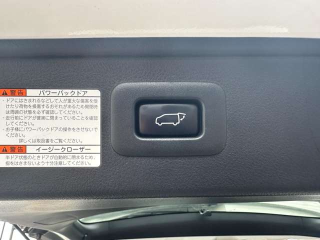 トヨタ アルファード ２．５ Ｓ タイプゴールド R3年 (関東) 99