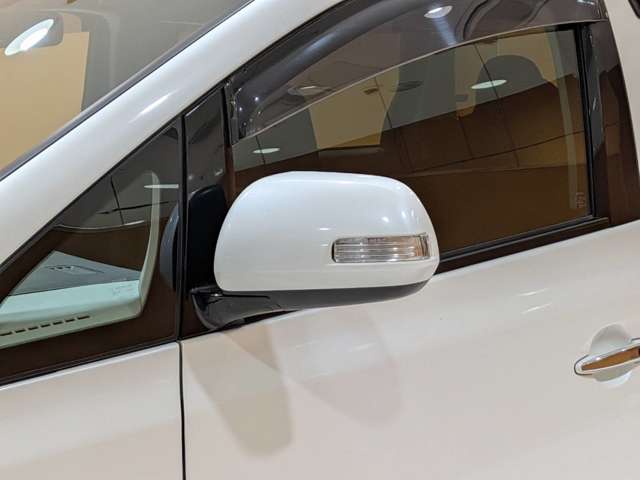 トヨタ ヴェルファイア ２．４Ｚ H21年 (関東) 99