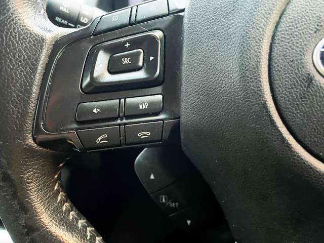 スバル レヴォーグ １．６ ＧＴ アイサイト Ｓスタイル ４ＷＤ H27年 (東海) 99