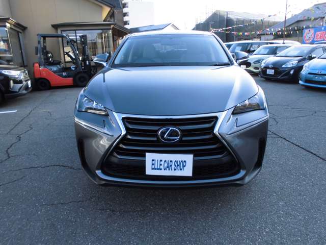 レクサス ＮＸ３００ｈ ３００Ｈ ４ＷＤ H28年 (甲信越・北陸) 99