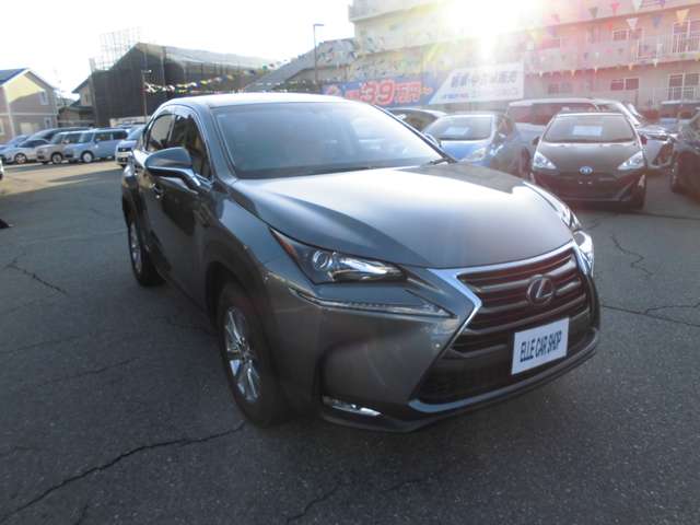 レクサス ＮＸ３００ｈ ３００Ｈ ４ＷＤ H28年 (甲信越・北陸) 99