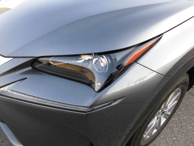 レクサス ＮＸ３００ｈ ３００Ｈ ４ＷＤ H28年 (甲信越・北陸) 99