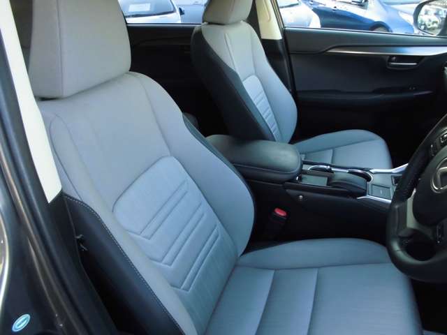 レクサス ＮＸ３００ｈ ３００Ｈ ４ＷＤ H28年 (甲信越・北陸) 99