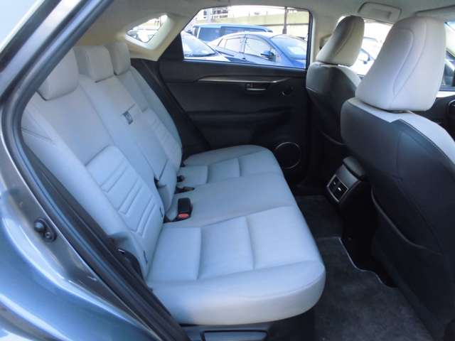 レクサス ＮＸ３００ｈ ３００Ｈ ４ＷＤ H28年 (甲信越・北陸) 99