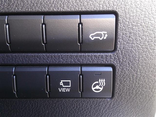 レクサス ＮＸ２００ｔ Ｉパッケージ H28年 (九州・沖縄) 99