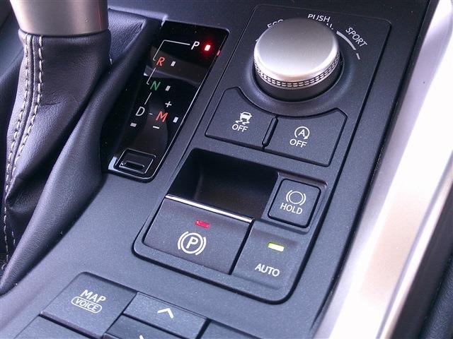 レクサス ＮＸ２００ｔ Ｉパッケージ H28年 (九州・沖縄) 99