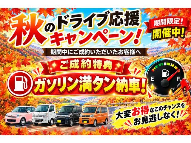 ダイハツ ハイゼットカーゴ ６６０ スペシャル ４ＷＤ R8年 (東北) 99