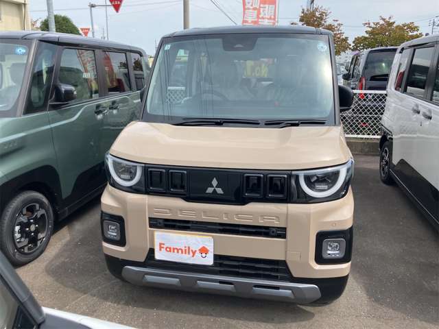 三菱 デリカ　ミニ ６６０ Ｔ プレミアム デリマル パッケージ R8年 (東海) 99