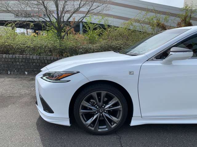 レクサス ＥＳ３００ｈ Ｆスポーツ R1年 (東海) 99