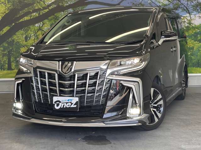トヨタ アルファード ２．５ Ｓ Ｃパッケージ H30年 (近畿) 99