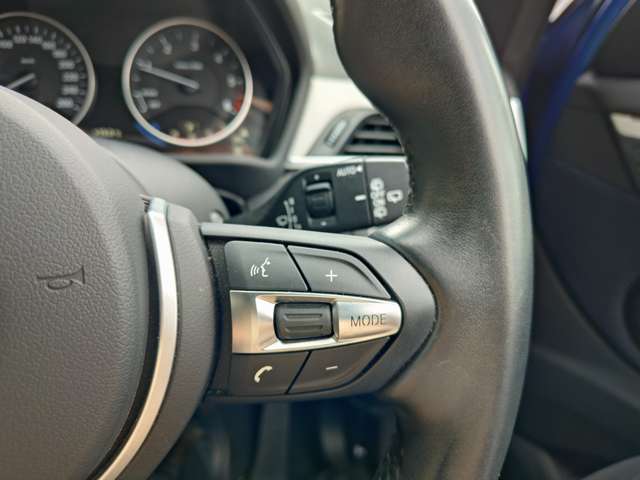 ＢＭＷ Ｘ１ Ｘドライブ １８Ｄ Ｍスポーツ ４ＷＤ H29年 (関東) 99