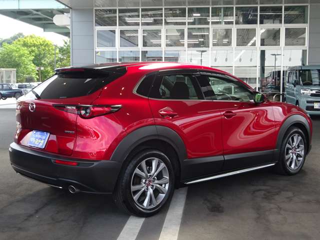 マツダ ＣＸ−３０ ２．０ ２０Ｓ Ｌパッケージ R1年 (関東) 99