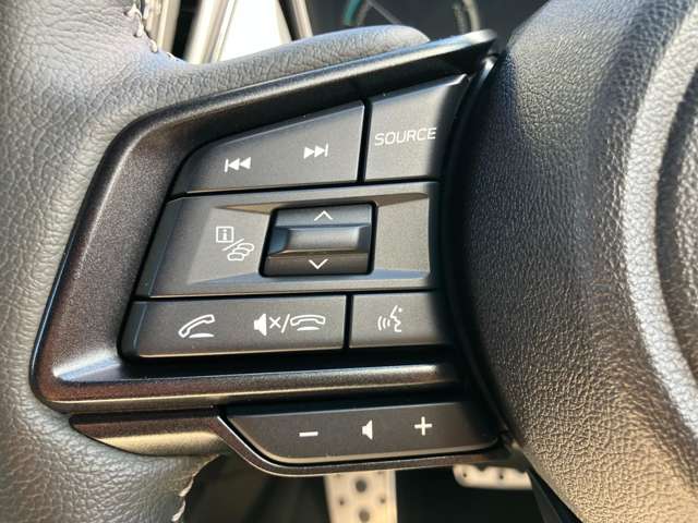 スバル クロストレック ２．５ プレミアム Ｓ：ＨＥＶ ＥＸ ４ＷＤ R7年 (関東) 99