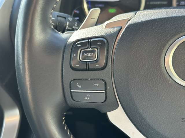 レクサス ＮＸ３００ｈ バージョンＬ R1年 (関東) 99