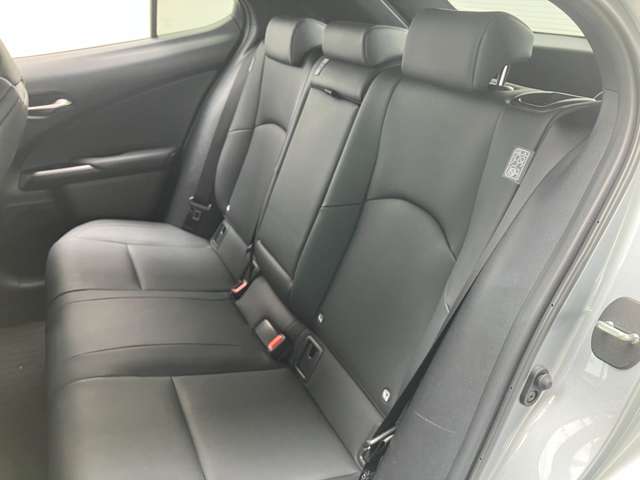 レクサス ＵＸ２５０ｈ Ｆスポーツ R5年 (関東) 99