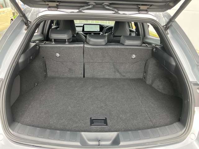 レクサス ＵＸ２５０ｈ Ｆスポーツ R5年 (関東) 99