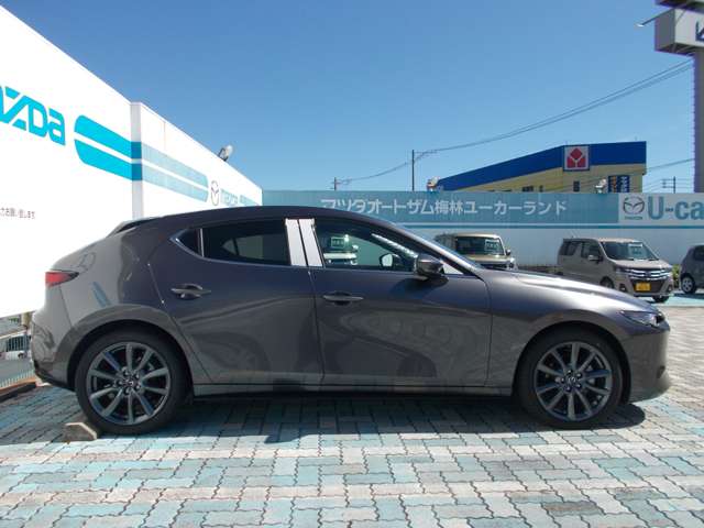 マツダ ＭＡＺＤＡ３　ファストバック ２．０ ２０Ｓ ツーリング R8年 (中国) 99