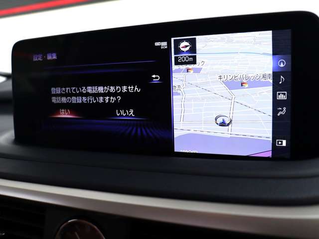 レクサス ＲＸ３００ バージョンＬ R2年 (関東) 99
