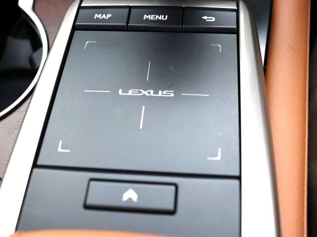 レクサス ＲＸ３００ バージョンＬ R2年 (関東) 99