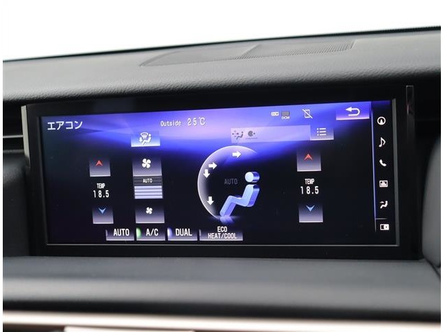 レクサス ＩＳ２００ｔ Ｆスポーツ H29年 (関東) 99