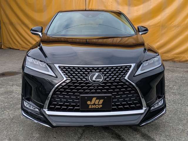 レクサス ＲＸ３００ バージョンＬ R2年 (九州・沖縄) 99