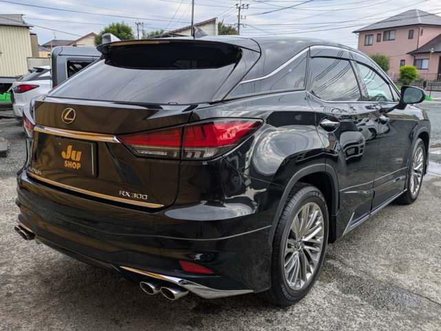 レクサス ＲＸ３００ バージョンＬ R2年 (九州・沖縄) 99