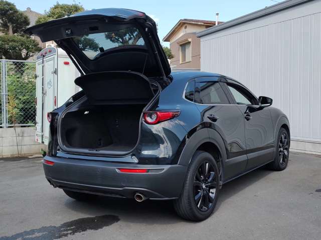 マツダ ＣＸ−３０ ２．０ ２０Ｓ ブラックトーンエディション ４ＷＤ R4年 (関東) 99
