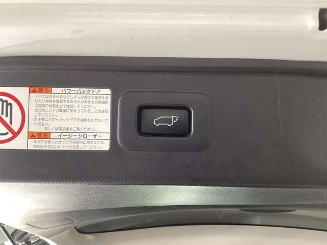 トヨタ ヴェルファイア ２．５ Ｚ Ｇエディション R1年 (近畿) 99