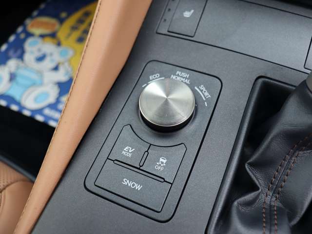 レクサス ＲＣ３００ｈ ３００Ｈ H27年 (関東) 99